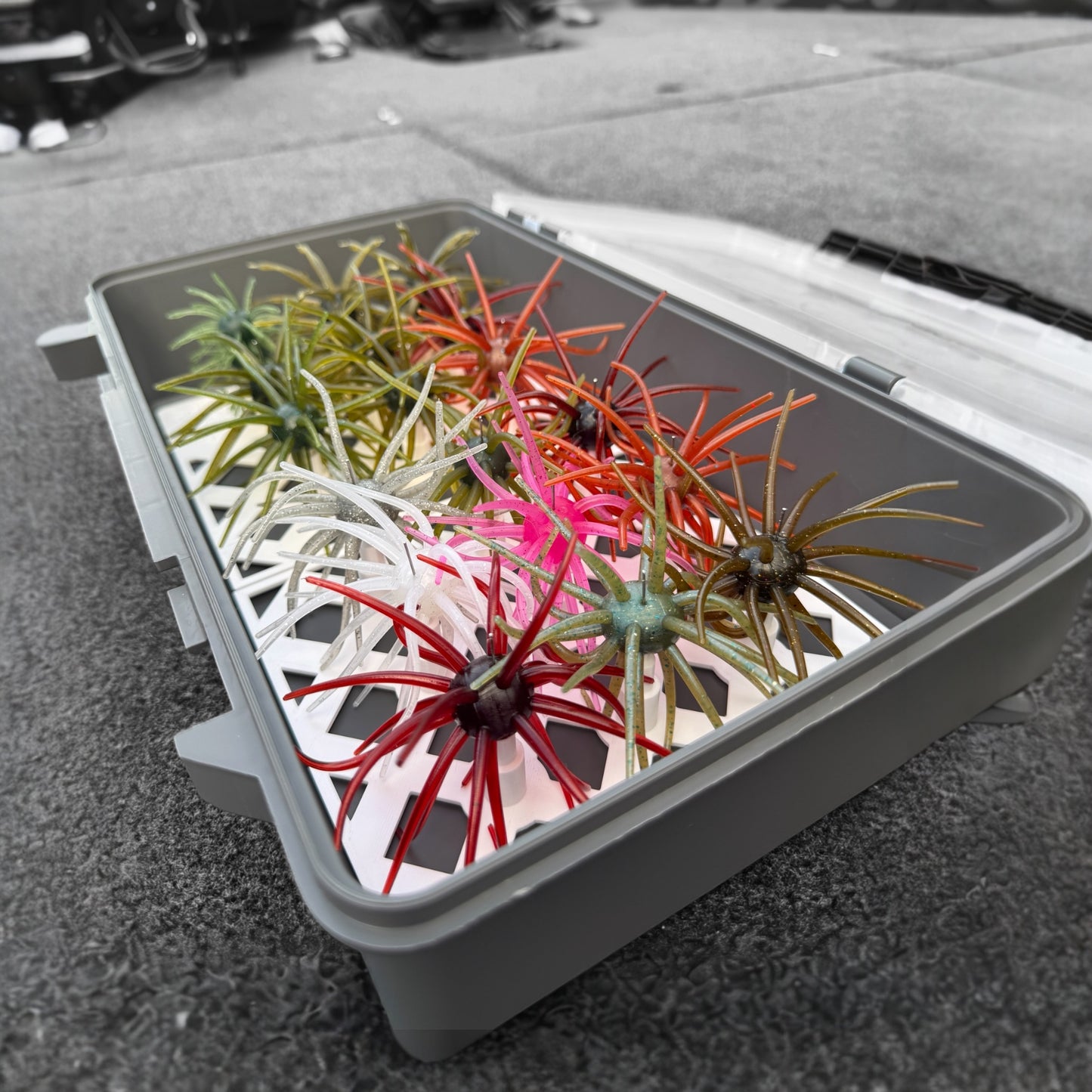 The Seabed | Urchin Bait Organizer